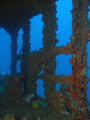   WIT Shoal  